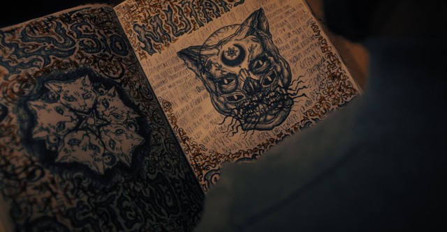 Don't Let the Cat Out