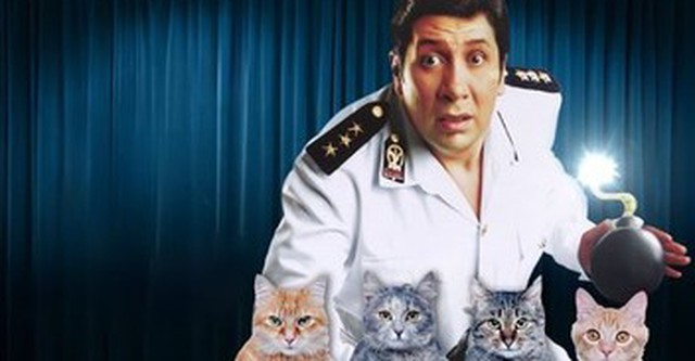 Lion & Four Cats