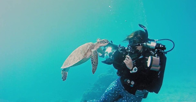 Great Barrier Reef 3D