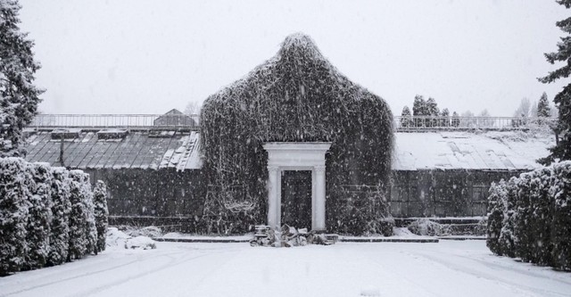 The Winter Garden's Tale