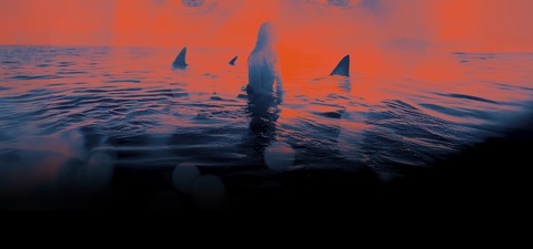 De « Sous la Seine » à « Dangerous Animals » : les films de requins les plus fous !