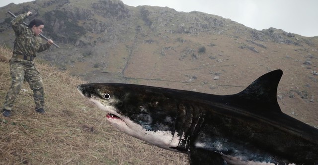 Mountain Shark