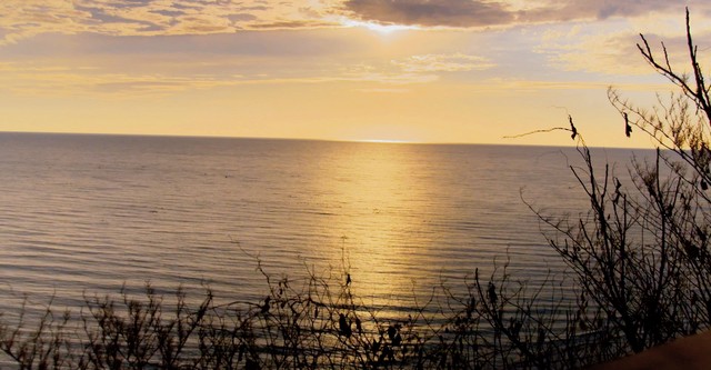 Když žraloci útočí