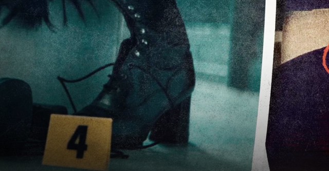 Angi: Fake Life, True Crime