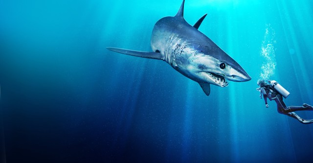 Black Mako of the Abyss