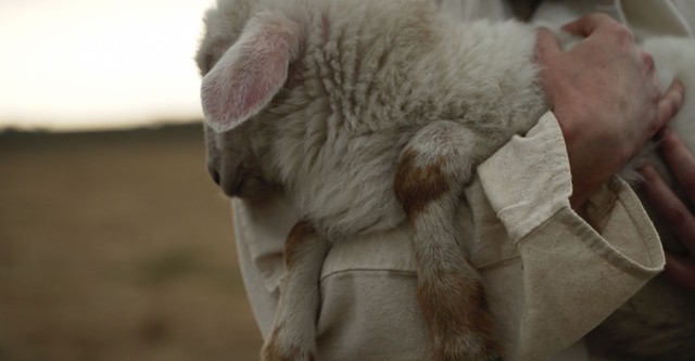 The Gospel: Who Jesus Christ Is and What He Came to Show Us