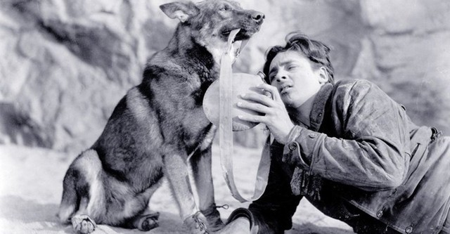 Clash of the Wolves