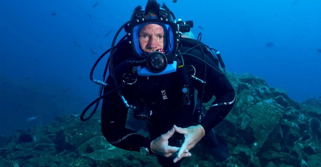 Shark with Steve Backshall