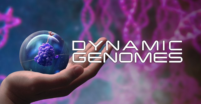Dynamic Genomes