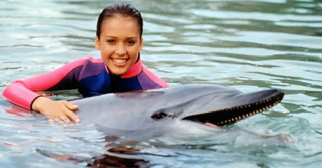 Flipper - watch tv show streaming online