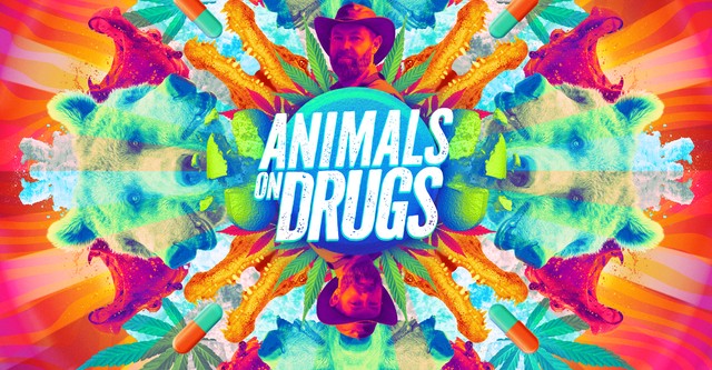 Animals on Drugs