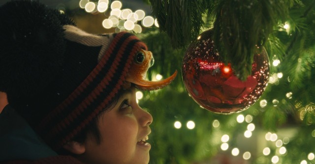 The Boy & the Octopus