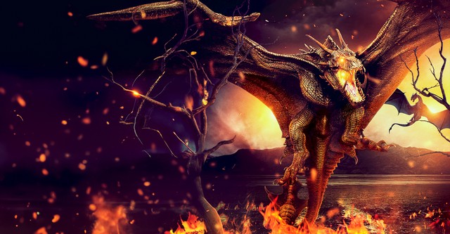 더 드래곤 : 용의 분노