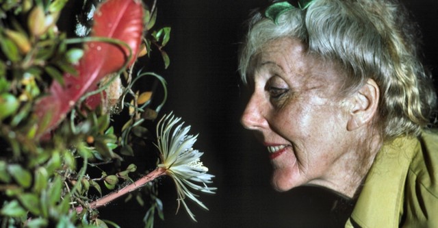 Margaret Mee e a Flor da Lua