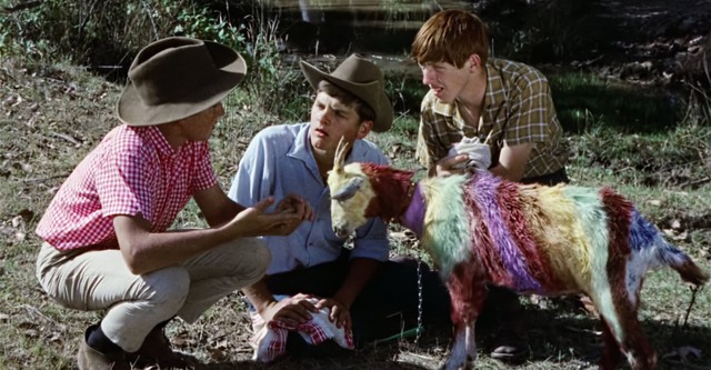 Funny Things Happen Down Under