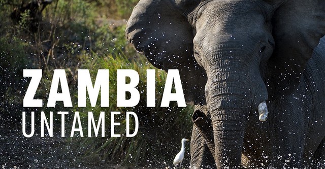 Zambia Untamed