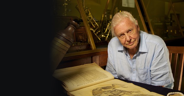 David Attenborough i cuda natury