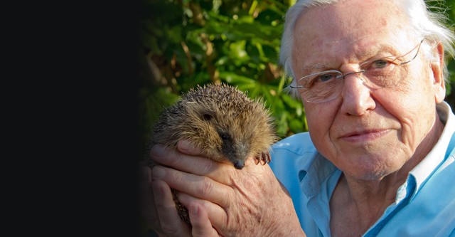 Kurioses aus der Tierwelt