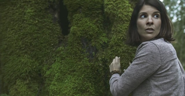 Something in the Woods