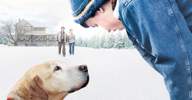 A Dog Named Christmas