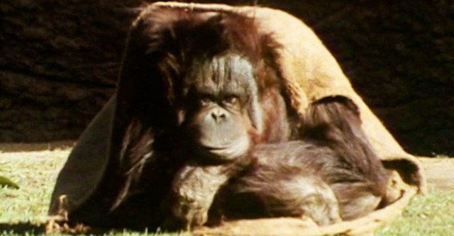Zoo Abenteuer