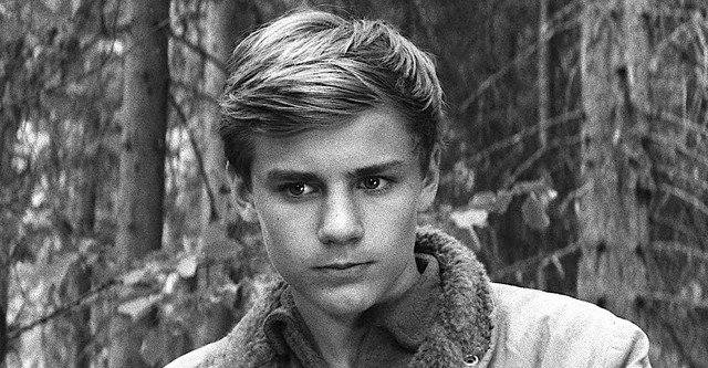 The Boy in the Tree