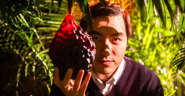 The Fruit Hunters