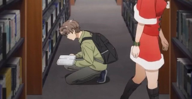 青春ブタ野郎はサンタクロースの夢を見ない