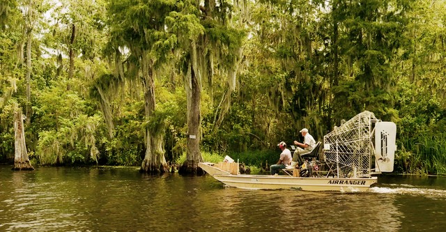 Mergulhados no Pântano