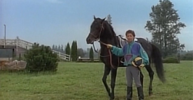 The Adventures of the Black Stallion