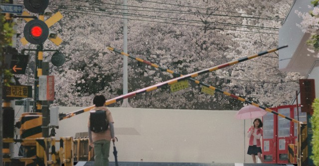 5 centimètres par seconde