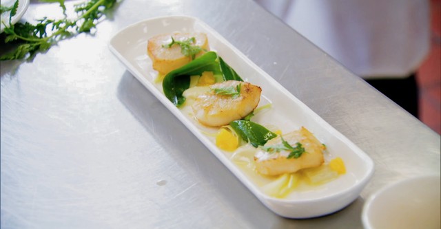 The Chef's Protege