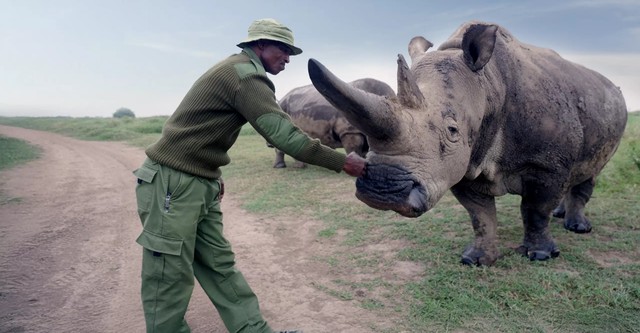 エクスプローラー：がんばれ！シロサイの赤ちゃん
