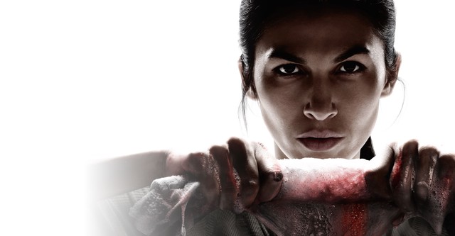 La Chica de la Limpieza