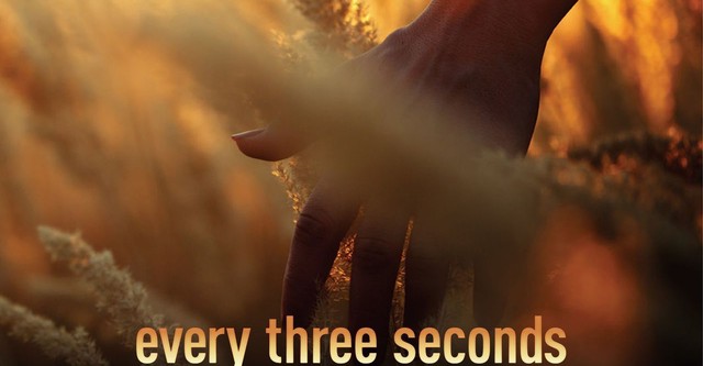 Every Three Seconds