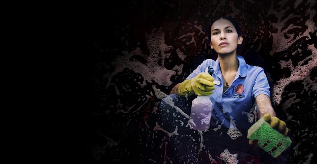 The Cleaning Lady
