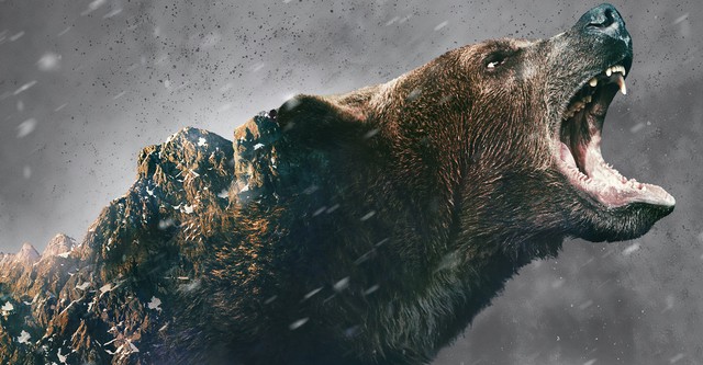 Alone : Les survivants