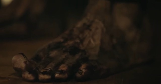 Retratos del Apocalipsis