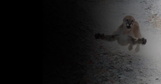 History's Most Shocking