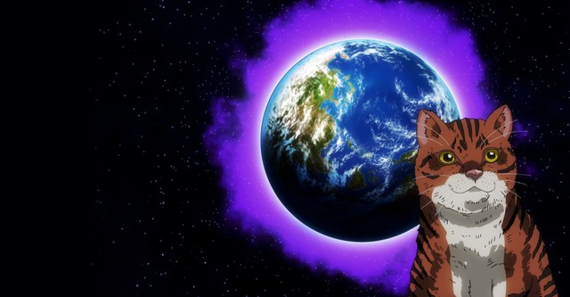 Nyaight of the Living Cat