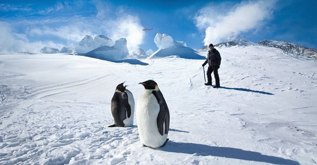 Antarctica: A Year On Ice