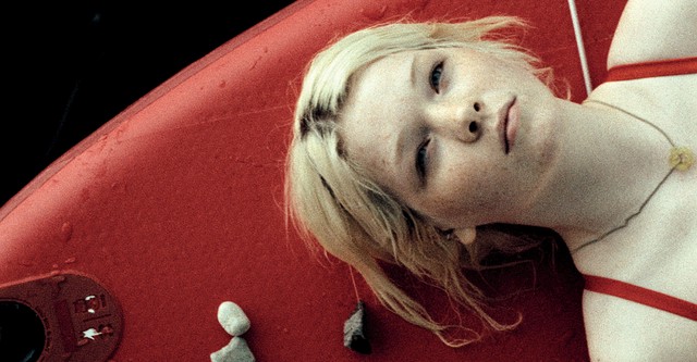 In die Sonne schauen