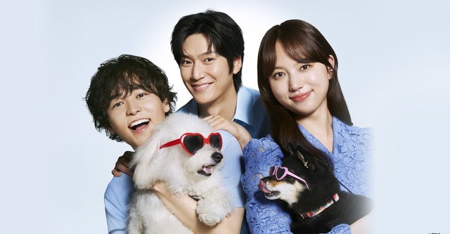 Love is for the Dogs