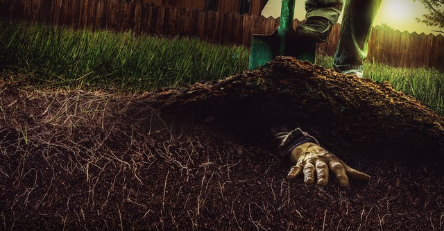 Buried In The Backyard
