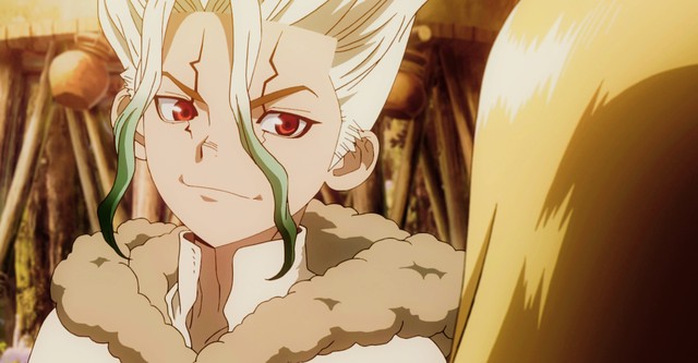 Dr. Stone