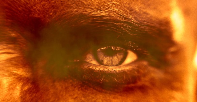 FireStorm '77: The True Story of the Honda Canyon Fire