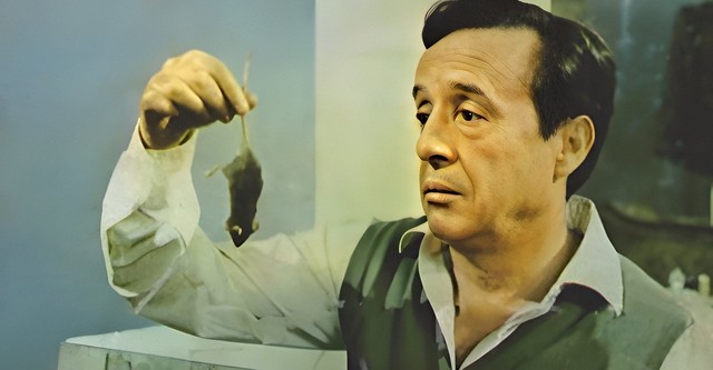 Don Ratón y Don Ratero