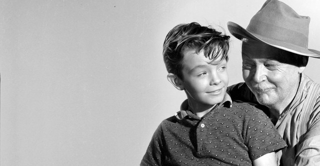 Boy Who Caught a Crook