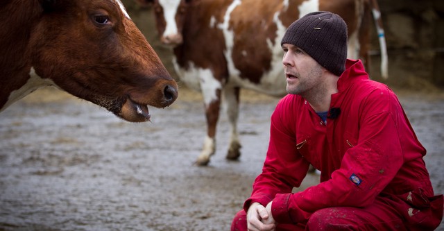 Rhod Gilbert's Work Experience