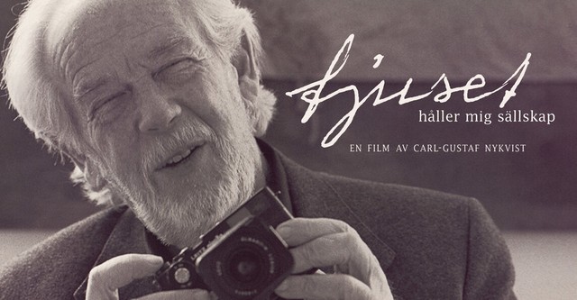 Light Keeps Me Company